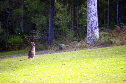 Jackson Ranch By Bannisters - Surfers Paradise Gold Coast 31