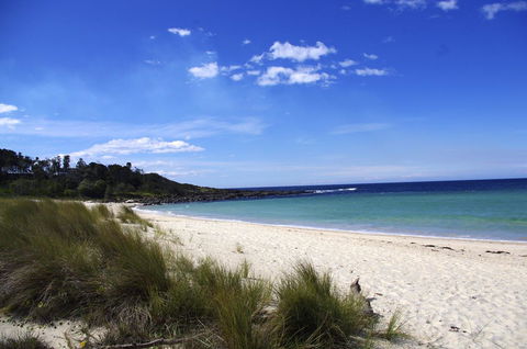 Jackson Ranch By Bannisters - Surfers Paradise Gold Coast 32