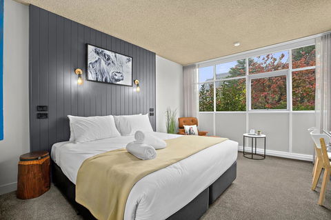 City Centre Motel Armidale - Surfers Paradise Gold Coast 8