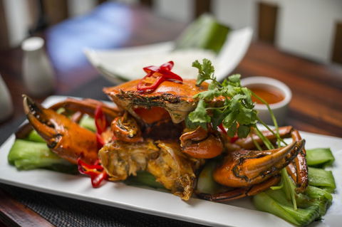 Hilton Darwin - Surfers Paradise Gold Coast 10