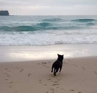Breakers at Mudjimba Beach - Surfers Paradise Gold Coast