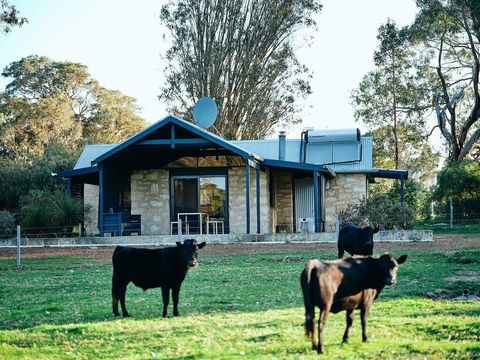 Burnside Organic Farm - Surfers Paradise Gold Coast 2