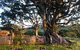 BYRON BAY'S HISTORIC BARNSTAY! - thumb 2