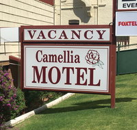 Camellia Motel - Surfers Paradise Gold Coast
