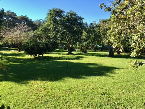 Camelot Cottages - Surfers Paradise Gold Coast 2