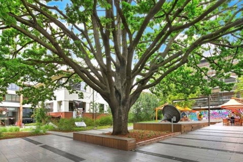 Canberra Luxury Apartment 8 - Surfers Paradise Gold Coast 1