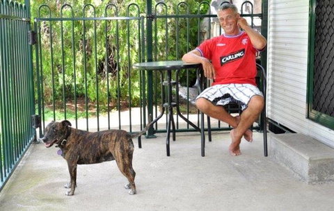 Coral Coast Tourist Park - Surfers Paradise Gold Coast 1