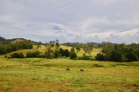 Country Breeze Farm Stay - Surfers Paradise Gold Coast 0