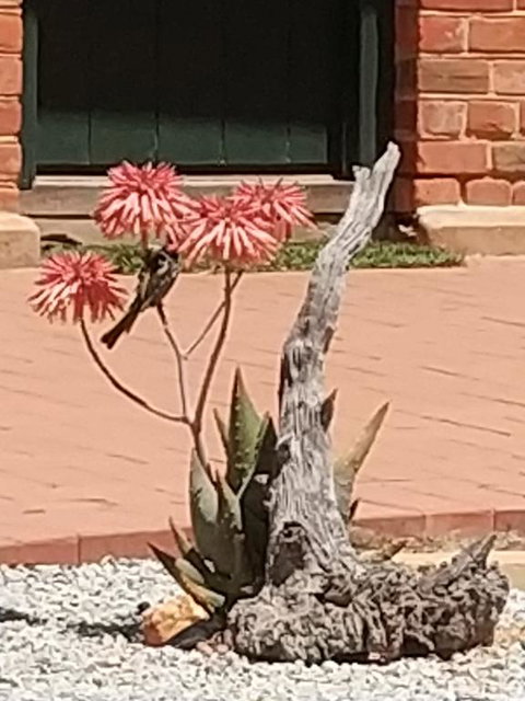 Courtyard Faversham House - Surfers Paradise Gold Coast 1