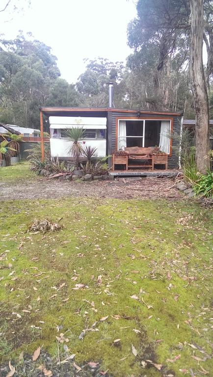 Crayfish Creek Van & Cabin Park - Surfers Paradise Gold Coast 3