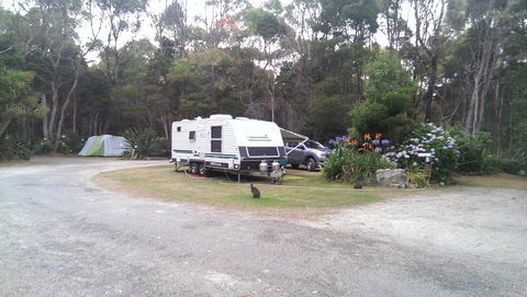 Crayfish Creek Van & Cabin Park - Surfers Paradise Gold Coast 0