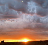 creative 3D sculpture share - Surfers Paradise Gold Coast