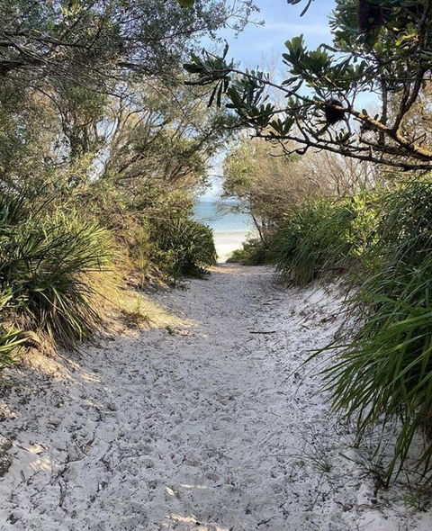 Cute And Costal - Surfers Paradise Gold Coast 3