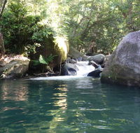 Daintree Secrets Rainforest Sanctuary - Surfers Paradise Gold Coast