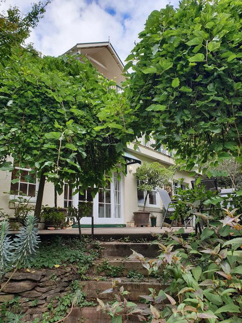 Davaar Hideaway Leura - Surfers Paradise Gold Coast 0