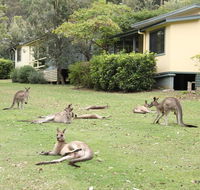 Depot Beach Cabins - Surfers Paradise Gold Coast