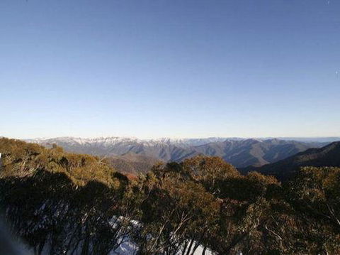 Elkhorn 7 - Surfers Paradise Gold Coast 0