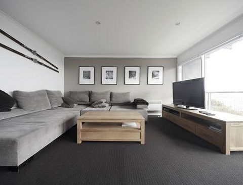 Elkhorn 7 - Surfers Paradise Gold Coast 1