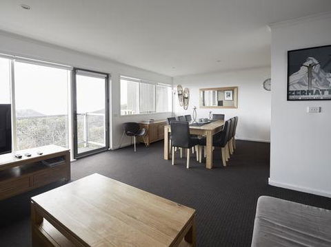 Elkhorn 7 - Surfers Paradise Gold Coast 3