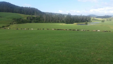 Farm Golf - Surfers Paradise Gold Coast 2
