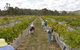 Fergies Hill Spa Cottage @ Granite Ridge Wines - thumb 2