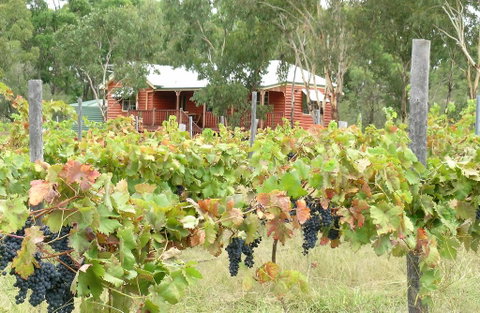 Fergies Hill Spa Cottage @ Granite Ridge Wines - Surfers Paradise Gold Coast 0