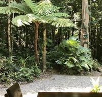 Forest Views Daintree - Surfers Paradise Gold Coast