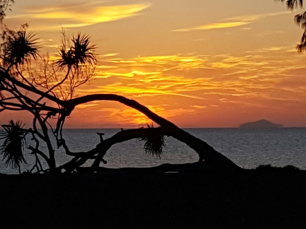 Trebonne QLD Surfers Paradise Gold Coast