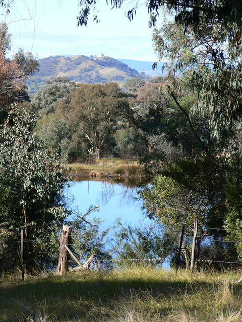 Gaddleen Grove Cottages - Surfers Paradise Gold Coast 3