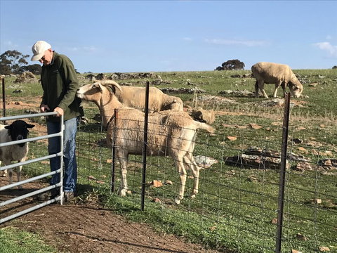 Gilgraves Vineyard Farmstay - Surfers Paradise Gold Coast 0