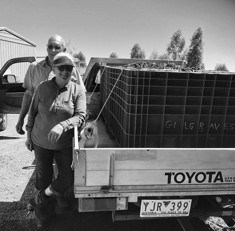 Gilgraves Vineyard Farmstay - Surfers Paradise Gold Coast 2