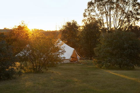 Goldfield Glamping - Surfers Paradise Gold Coast 2
