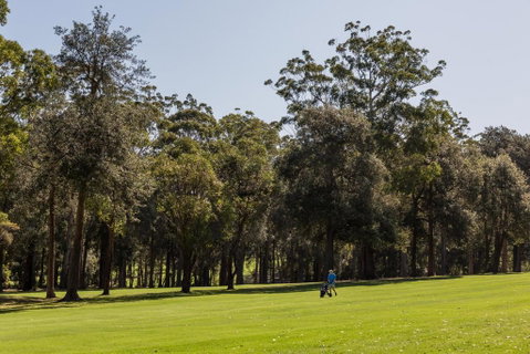 Golfer's Retreat, Mollymook - Surfers Paradise Gold Coast 0