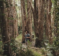 Habitat Noosa - Surfers Paradise Gold Coast
