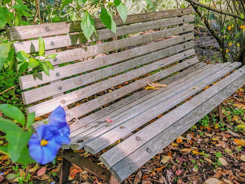 Hakea Bush Cabin - Surfers Paradise Gold Coast 3
