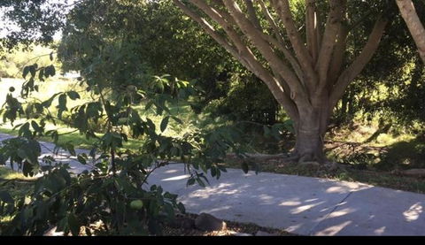 Handford Gardens - Surfers Paradise Gold Coast 2