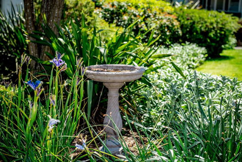 Hepburn Villas - Surfers Paradise Gold Coast 3