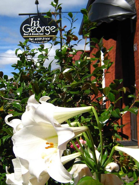 Hi George B&B - Surfers Paradise Gold Coast 1