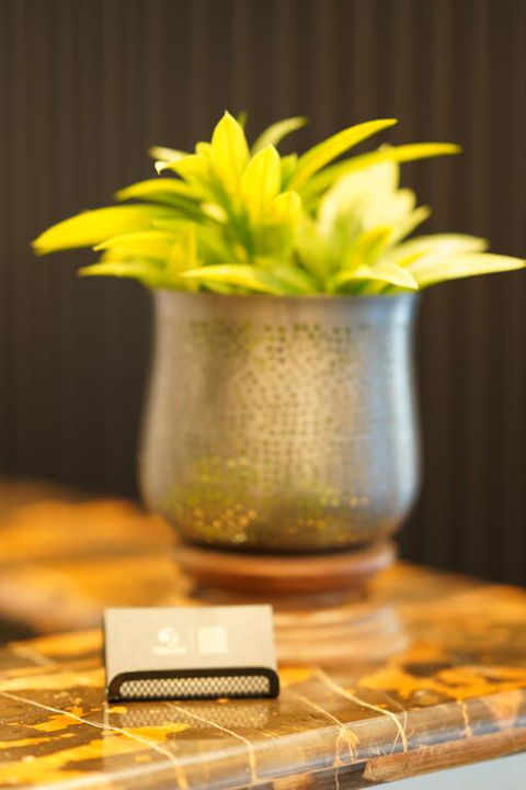Jephson Hotel & Apartments - Surfers Paradise Gold Coast 3