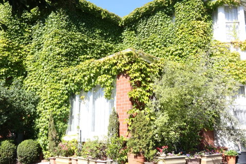Kilmarnock House Edwardian Accommodation - Surfers Paradise Gold Coast 3