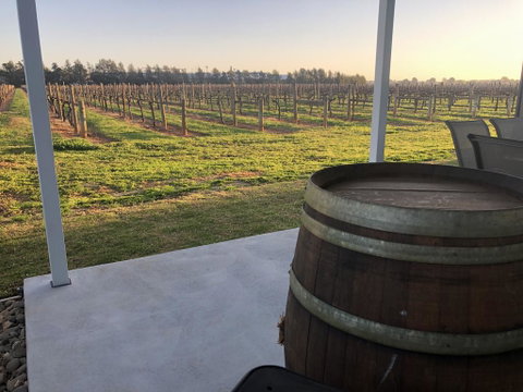 Milawa Vineyard Views - Guesthouse 1 - Surfers Paradise Gold Coast 2