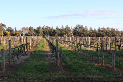 Milawa Vineyard Views - Guesthouse 1 - Surfers Paradise Gold Coast 1