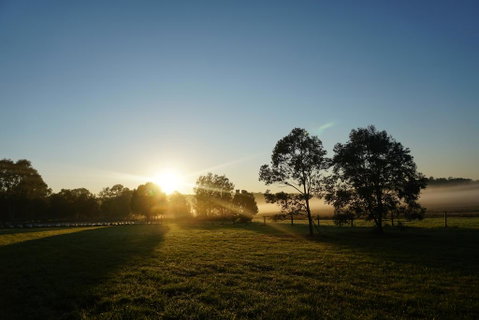 Narangba Motel (formerly Brisbane North B&B And Winery) - Surfers Paradise Gold Coast 2