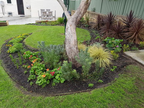 Spencer Cottage - Surfers Paradise Gold Coast 2
