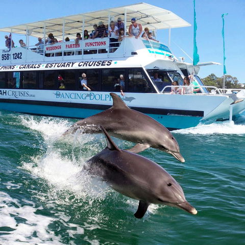 Mandurah Coastal Holiday Park - Surfers Paradise Gold Coast 0