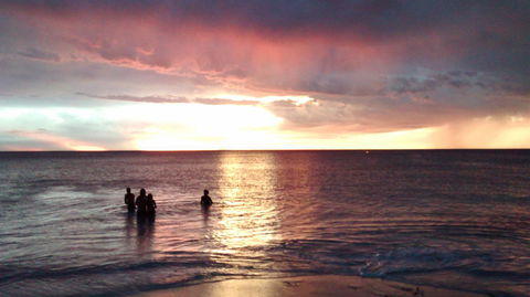 Palms Bed & Breakfast - Surfers Paradise Gold Coast 24