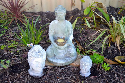 Palms Bed & Breakfast - Surfers Paradise Gold Coast 22