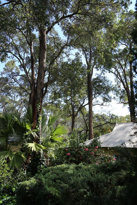 Two Sisters Chalets - Surfers Paradise Gold Coast 33