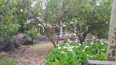 Two Sisters Chalets - Surfers Paradise Gold Coast 15