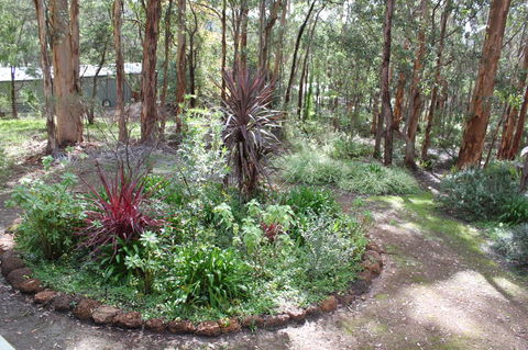 Francisca\'s Cottage - Surfers Paradise Gold Coast 2